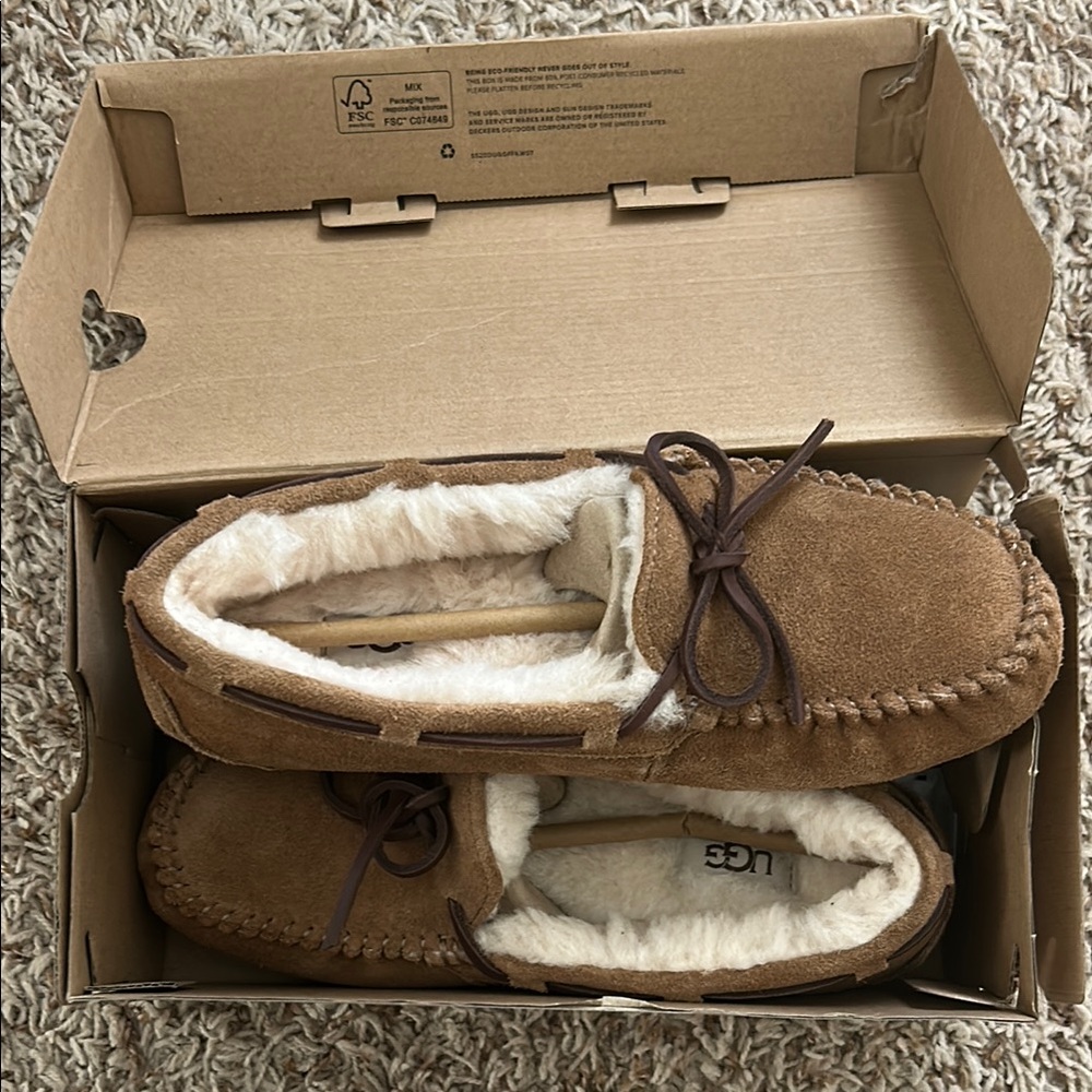 UGG slippers